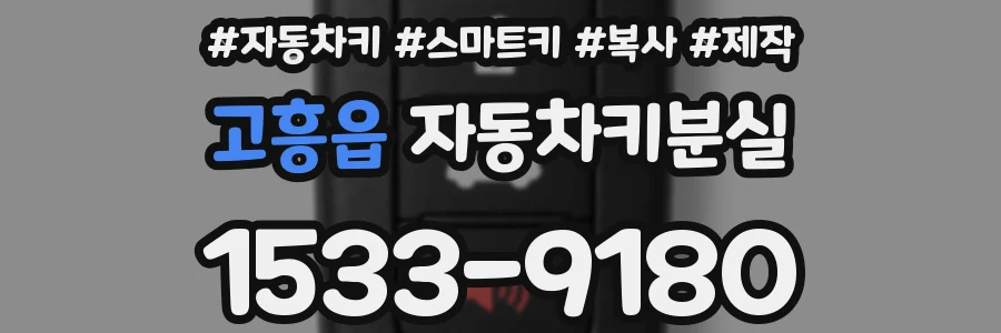 고흥읍 자동차키분실
