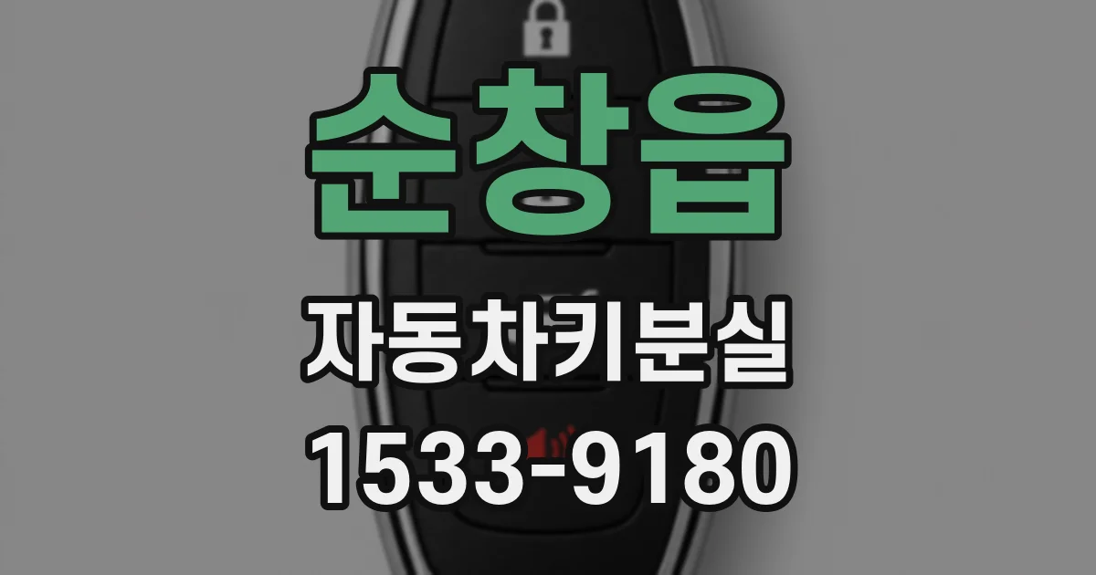 순창읍 자동차키분실