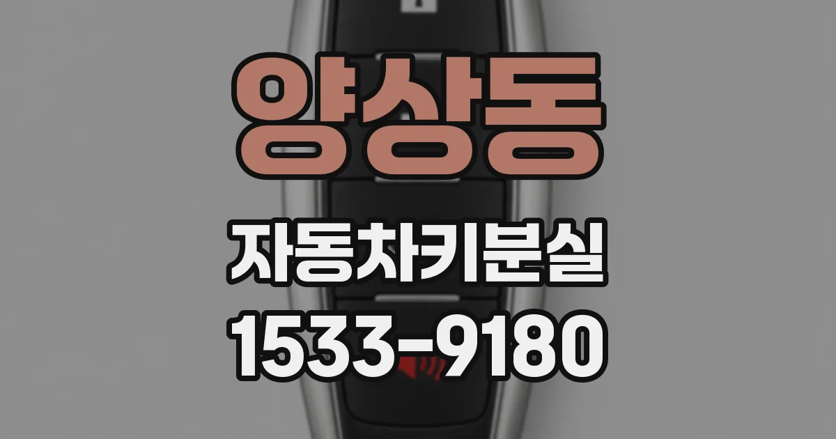 양상동 자동차키분실