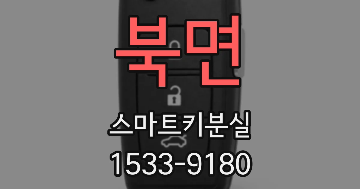 북면 스마트키분실