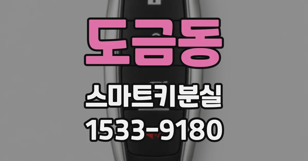 도금동 스마트키분실
