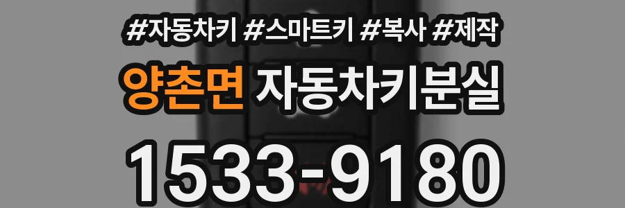 양촌면 자동차키분실