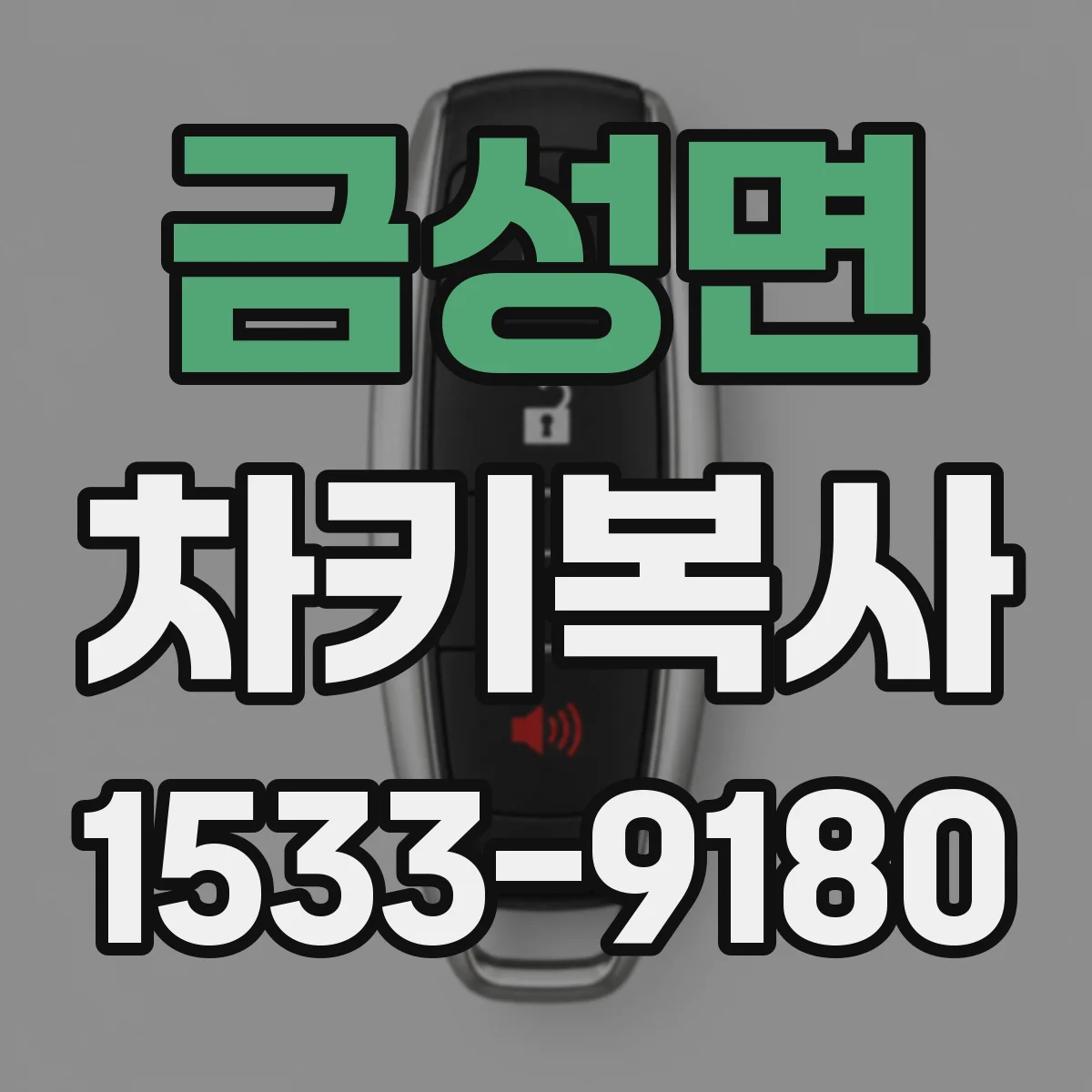 금성면 차키복사
