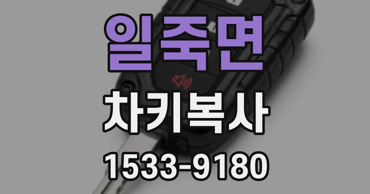 일죽면 차키복사