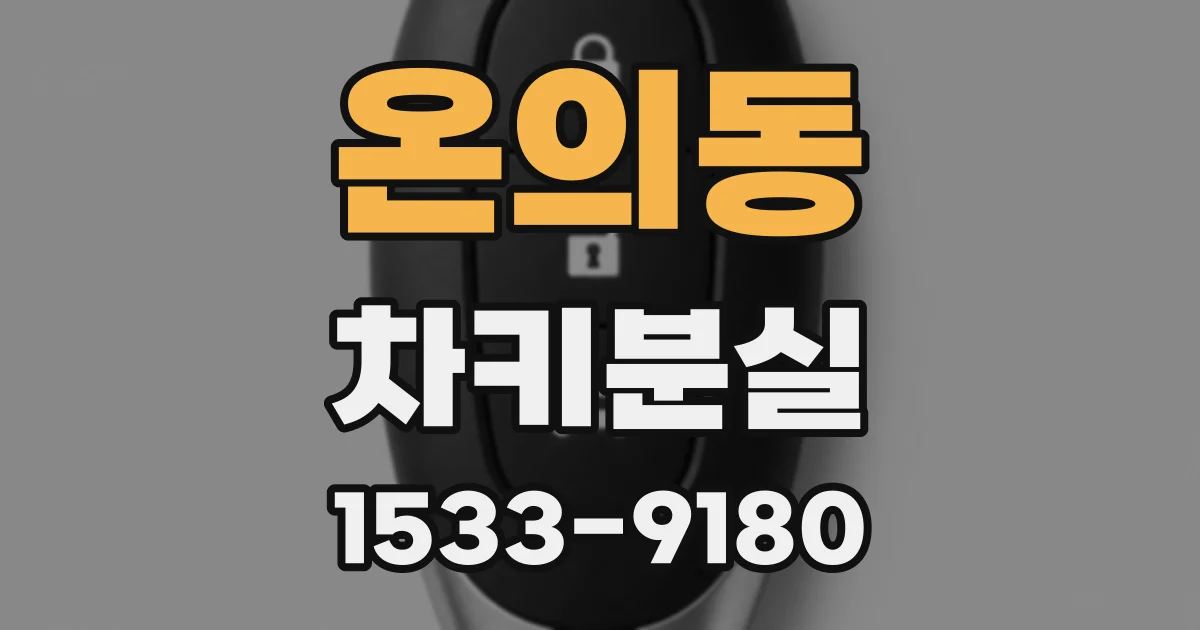 온의동 차키분실