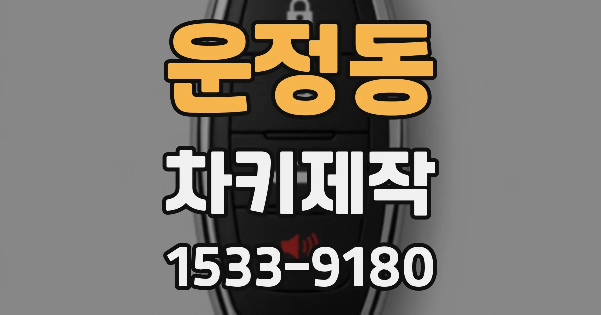 운정동 차키제작