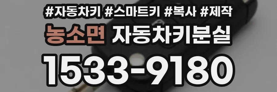 농소면 자동차키분실
