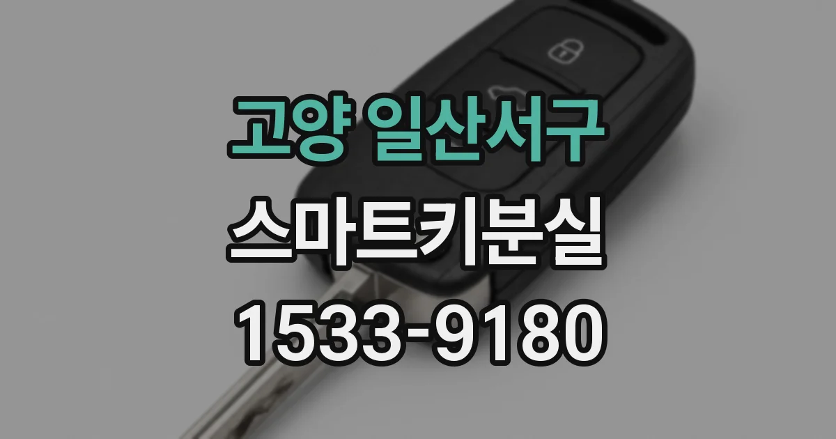 고양 일산서구 스마트키분실