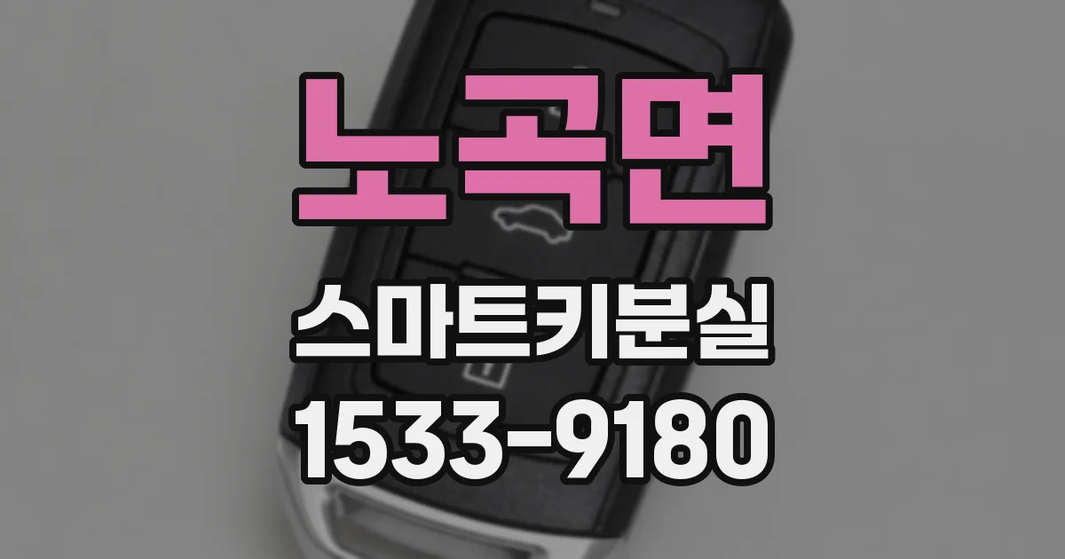 노곡면 스마트키분실