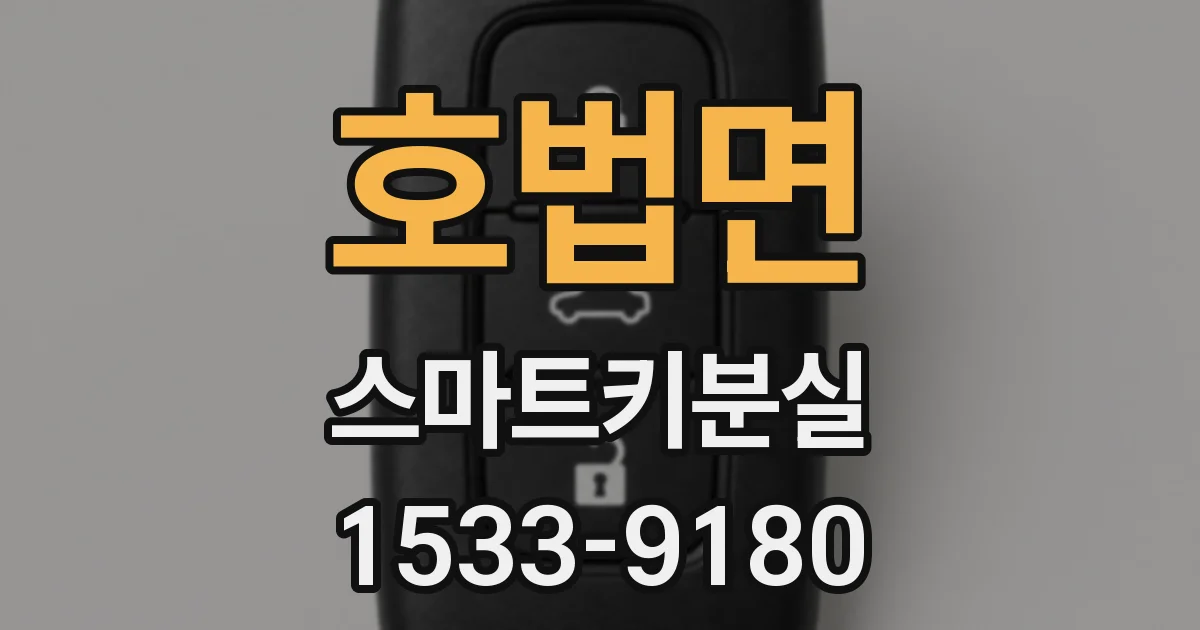 호법면 스마트키분실