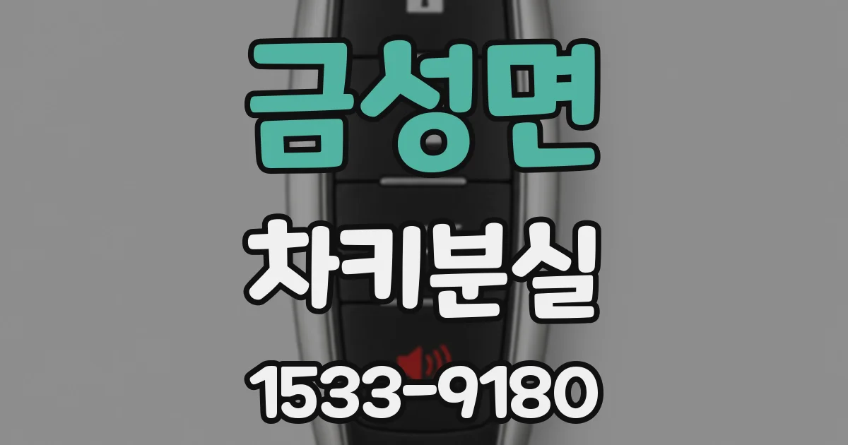 금성면 차키분실