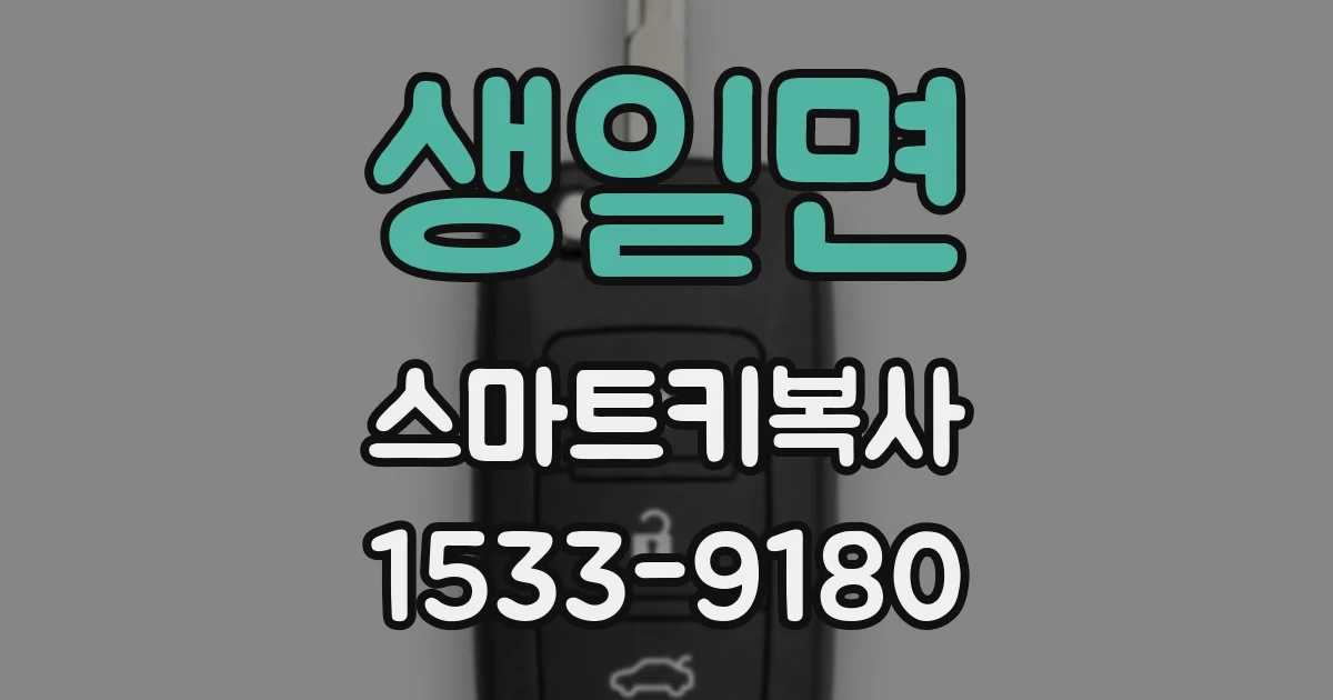 생일면 스마트키복사