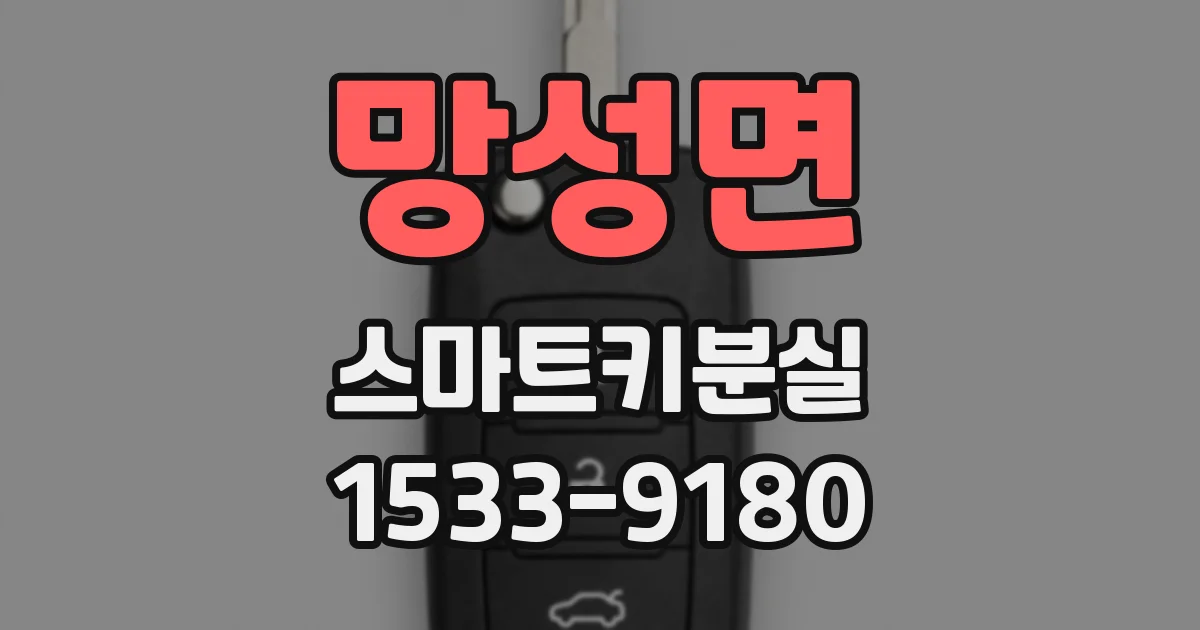망성면 스마트키분실