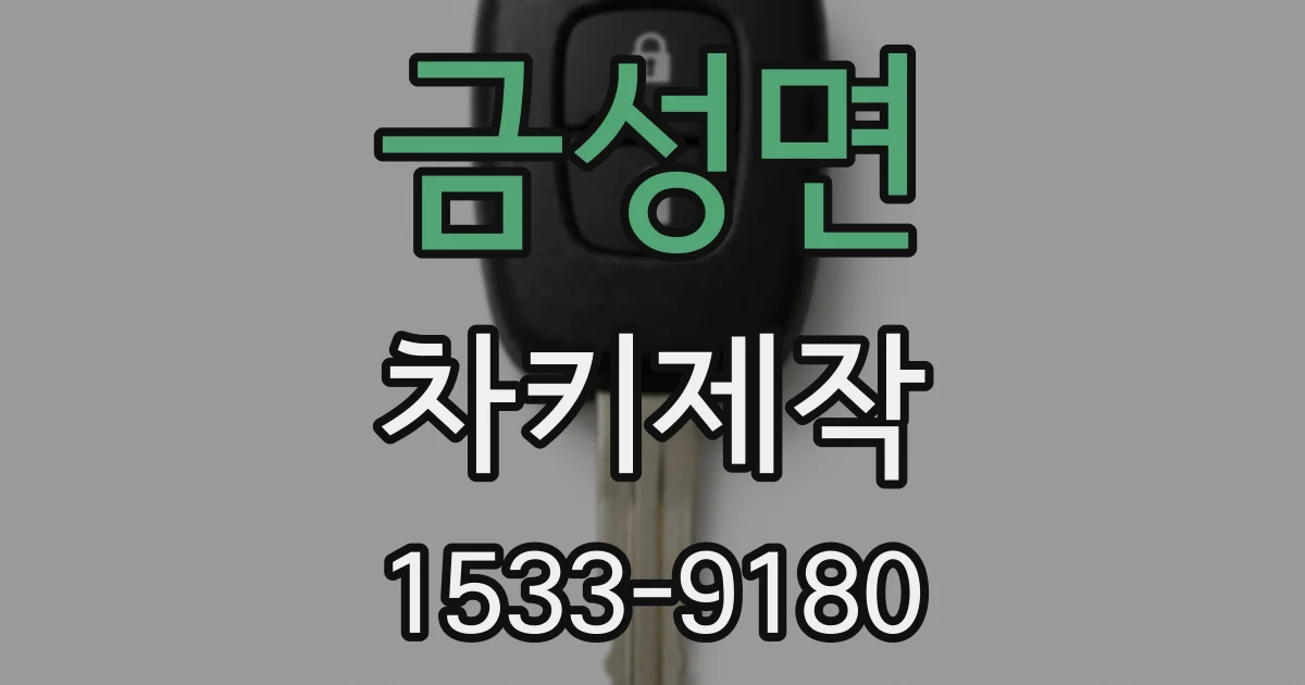 금성면 차키제작