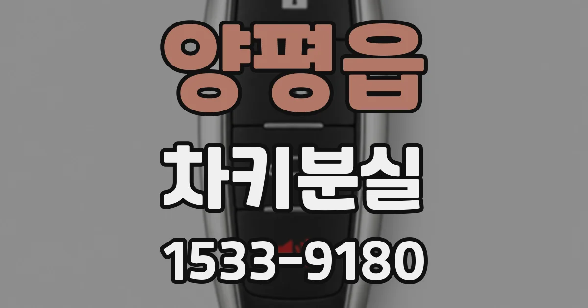 양평읍 차키분실