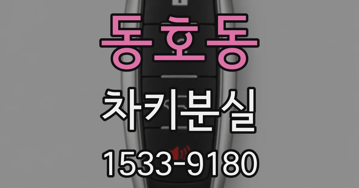동호동 차키분실