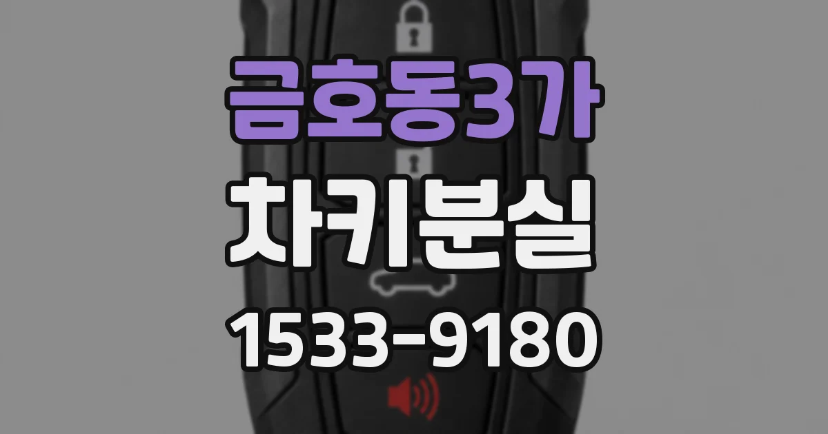 금호동3가 차키분실