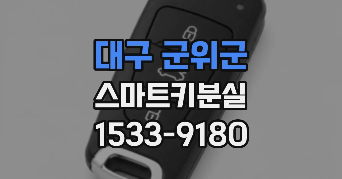 대구 군위군 스마트키분실