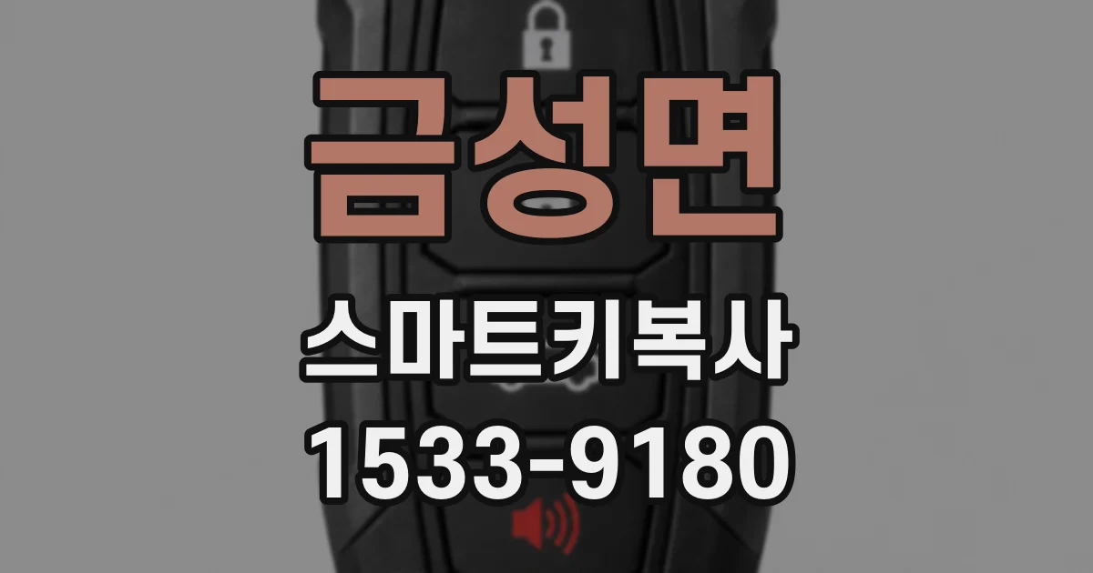 금성면 스마트키복사