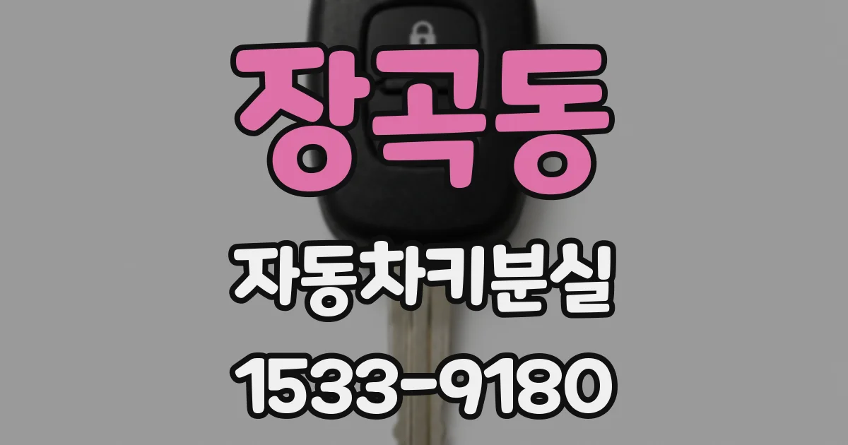 장곡동 자동차키분실
