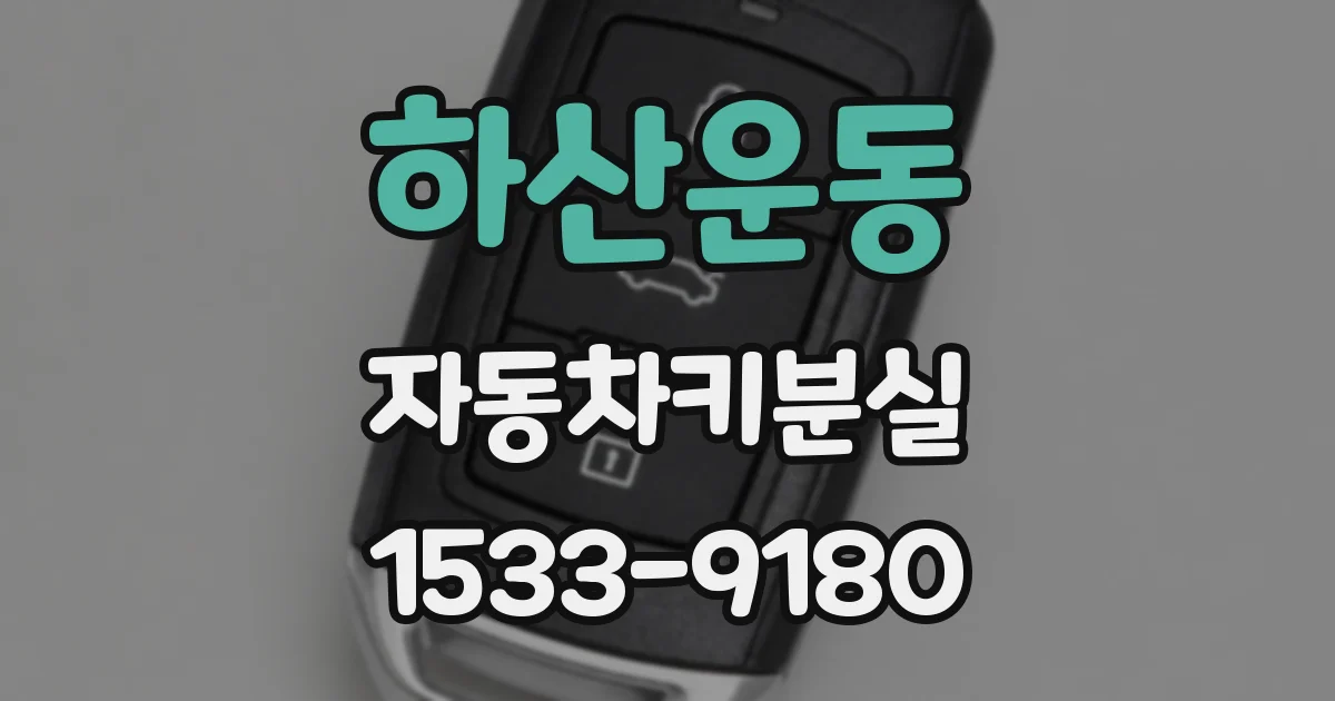 하산운동 자동차키분실