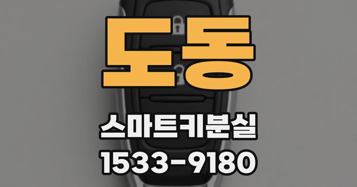 도동 스마트키분실