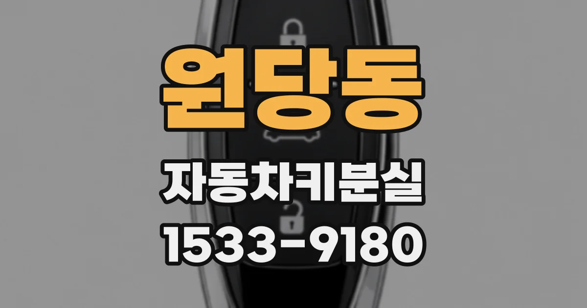 원당동 자동차키분실
