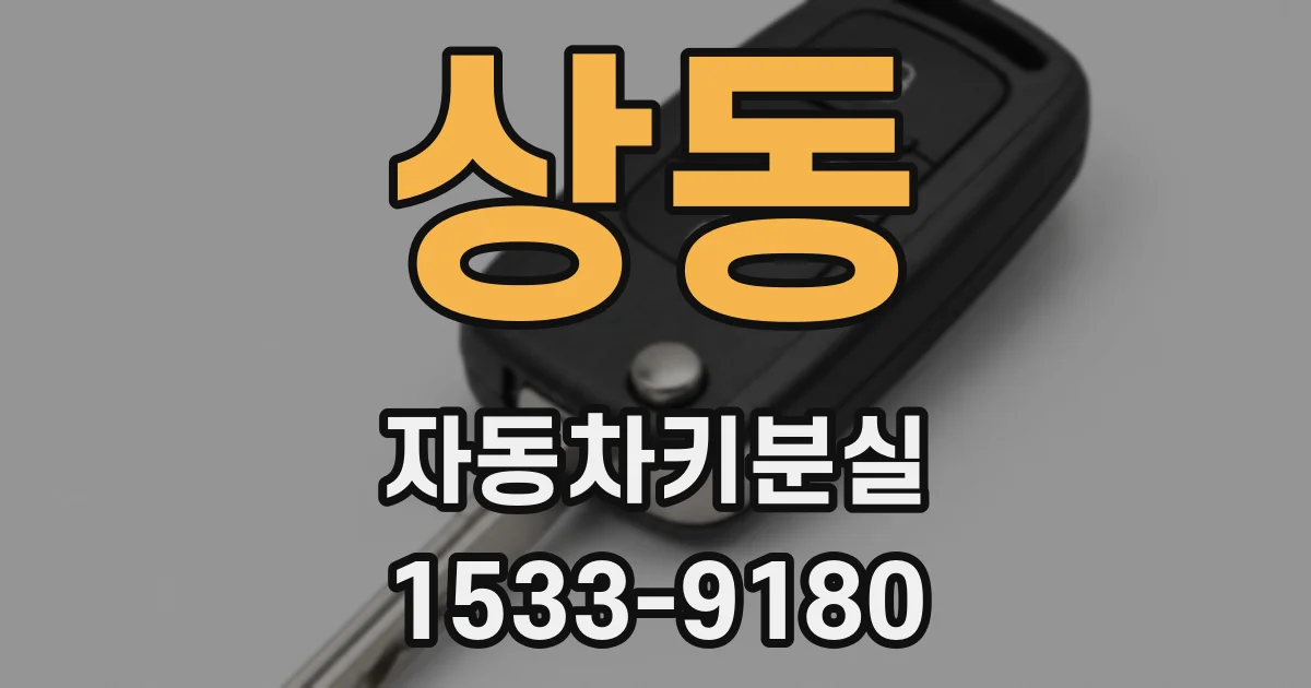 상동 자동차키분실
