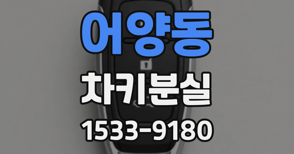 어양동 차키분실