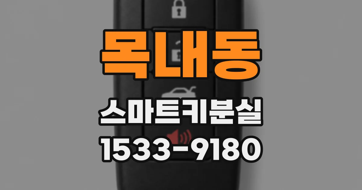 목내동 스마트키분실