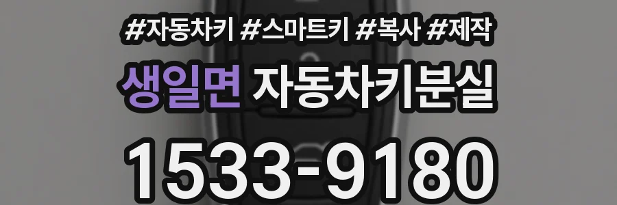생일면 자동차키분실