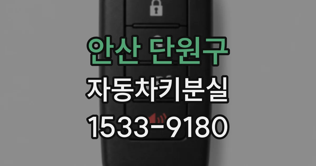 안산 단원구 자동차키분실