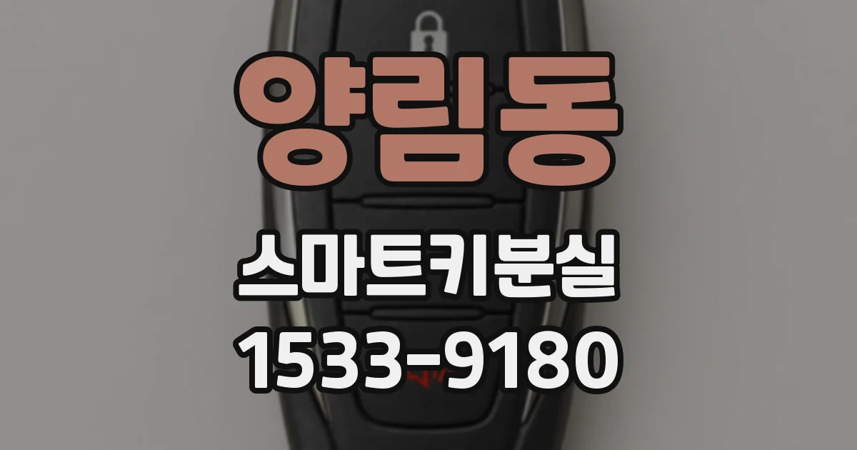 양림동 스마트키분실
