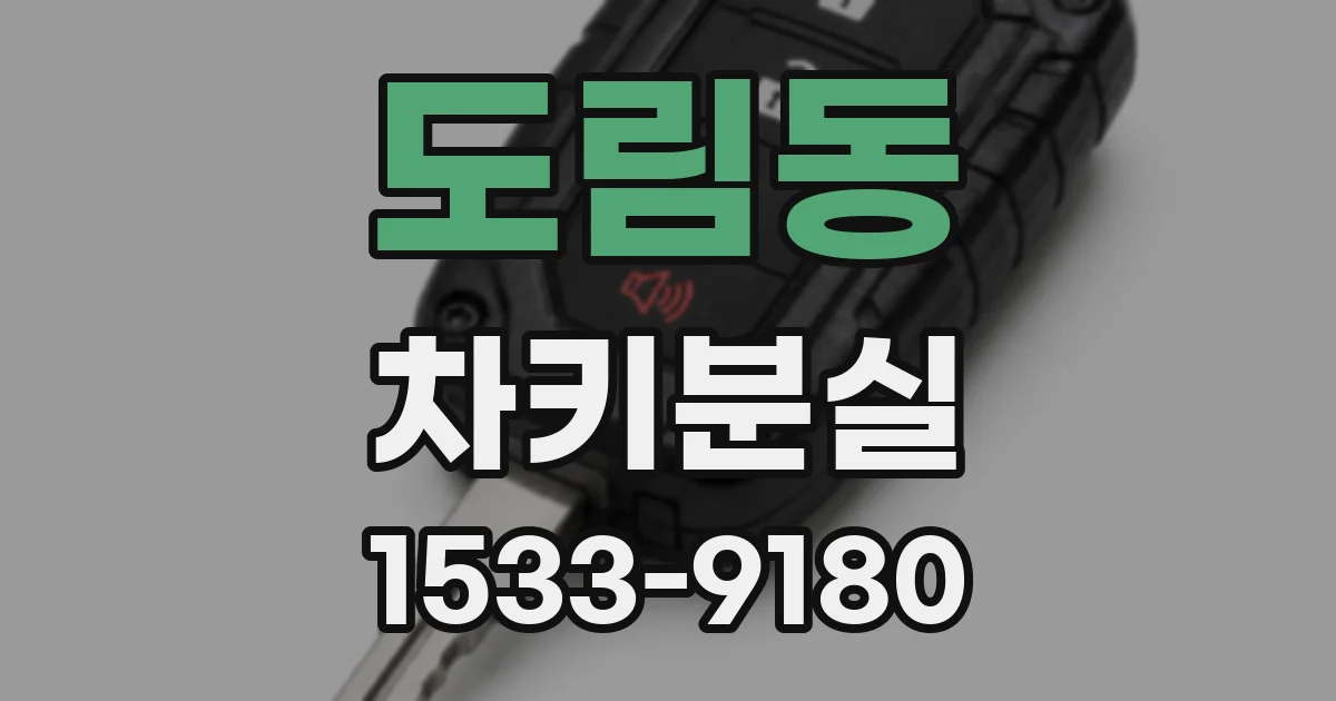 도림동 차키분실