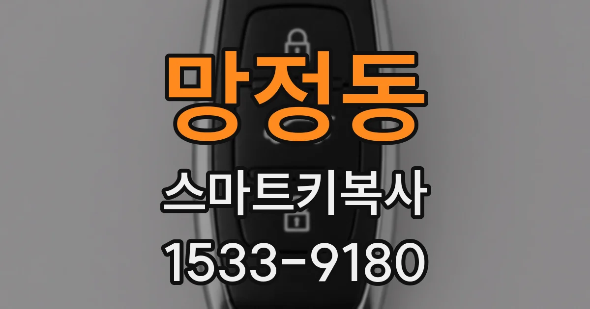 망정동 스마트키복사