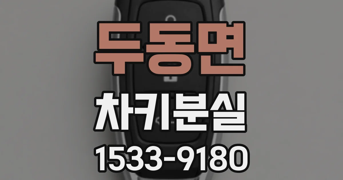 두동면 차키분실