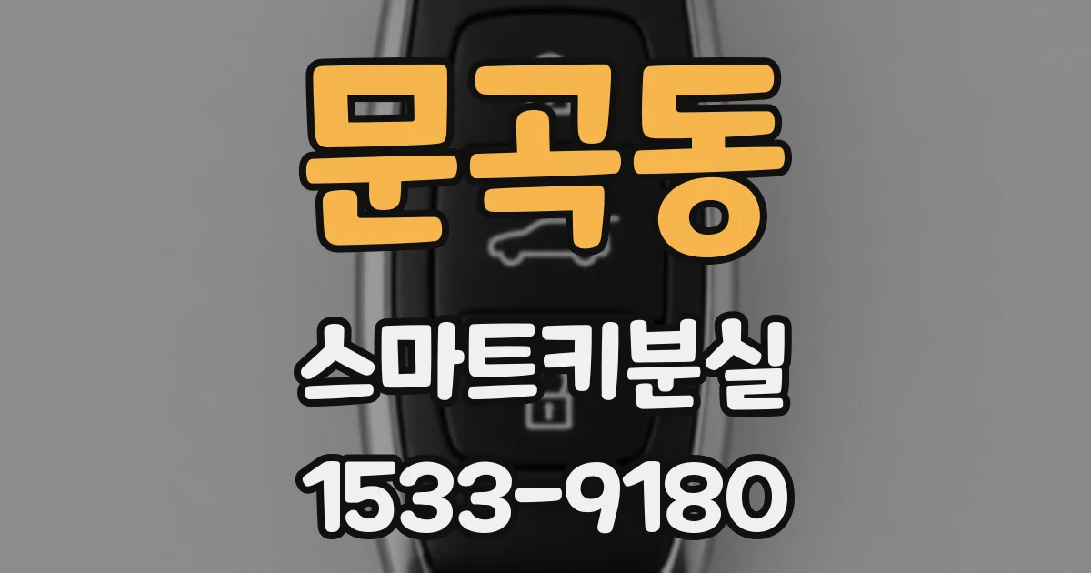문곡동 스마트키분실
