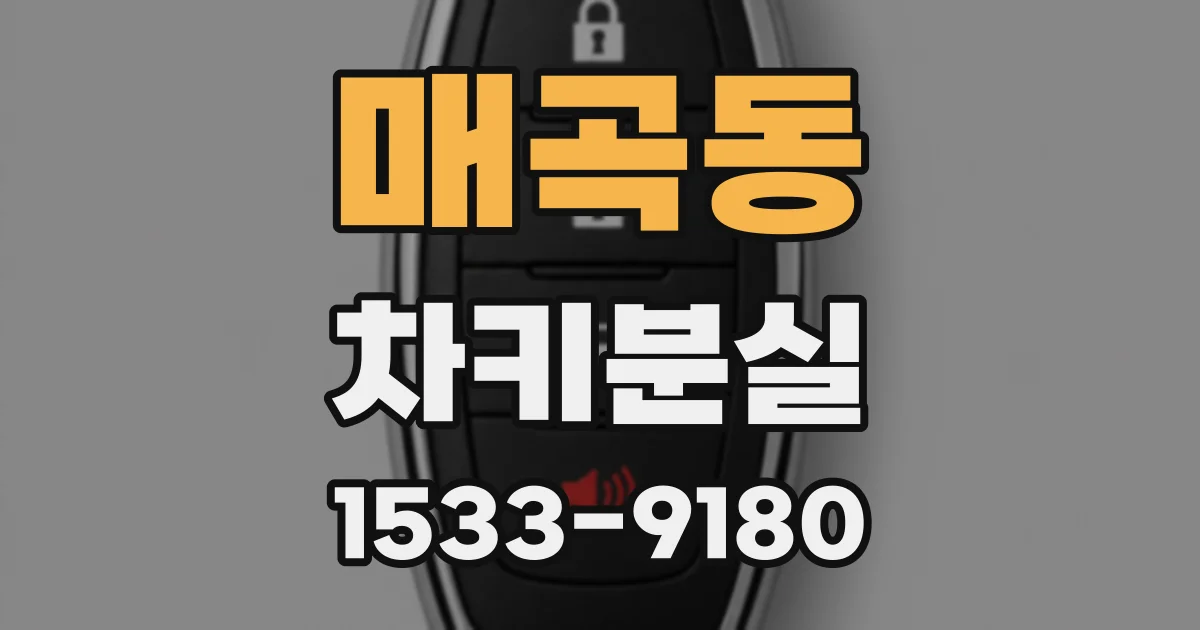 매곡동 차키분실