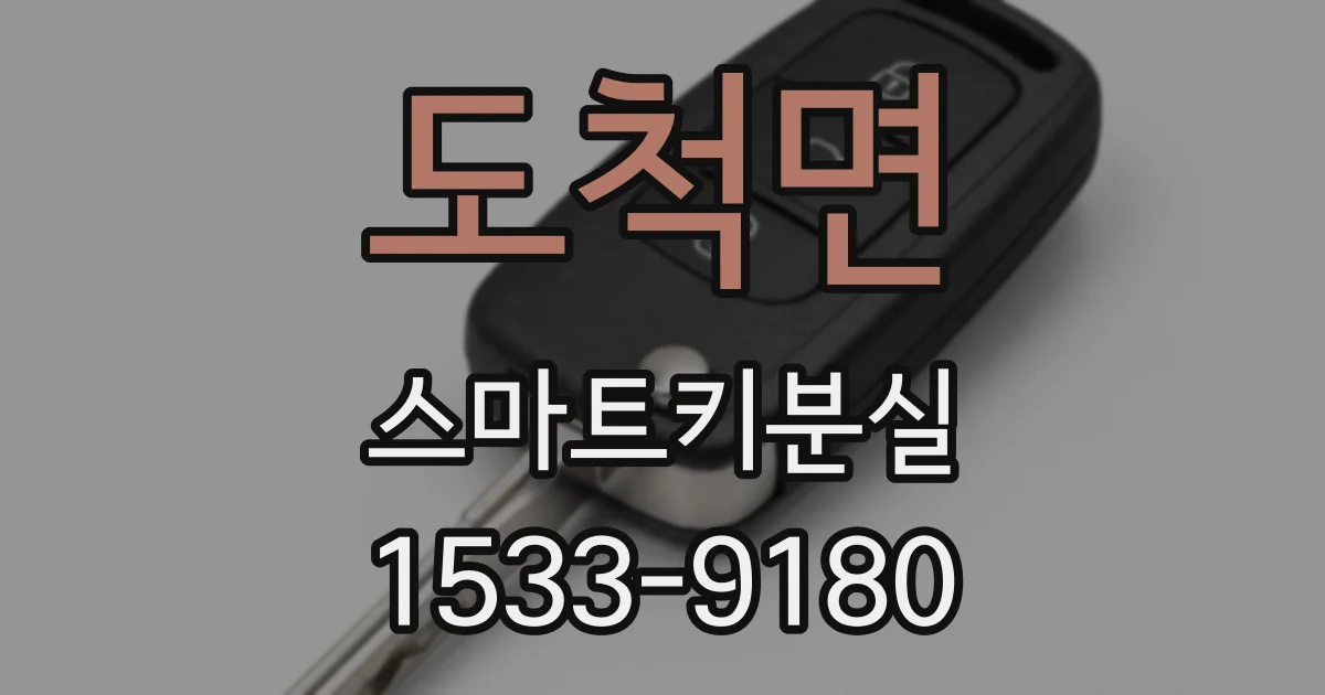 도척면 스마트키분실