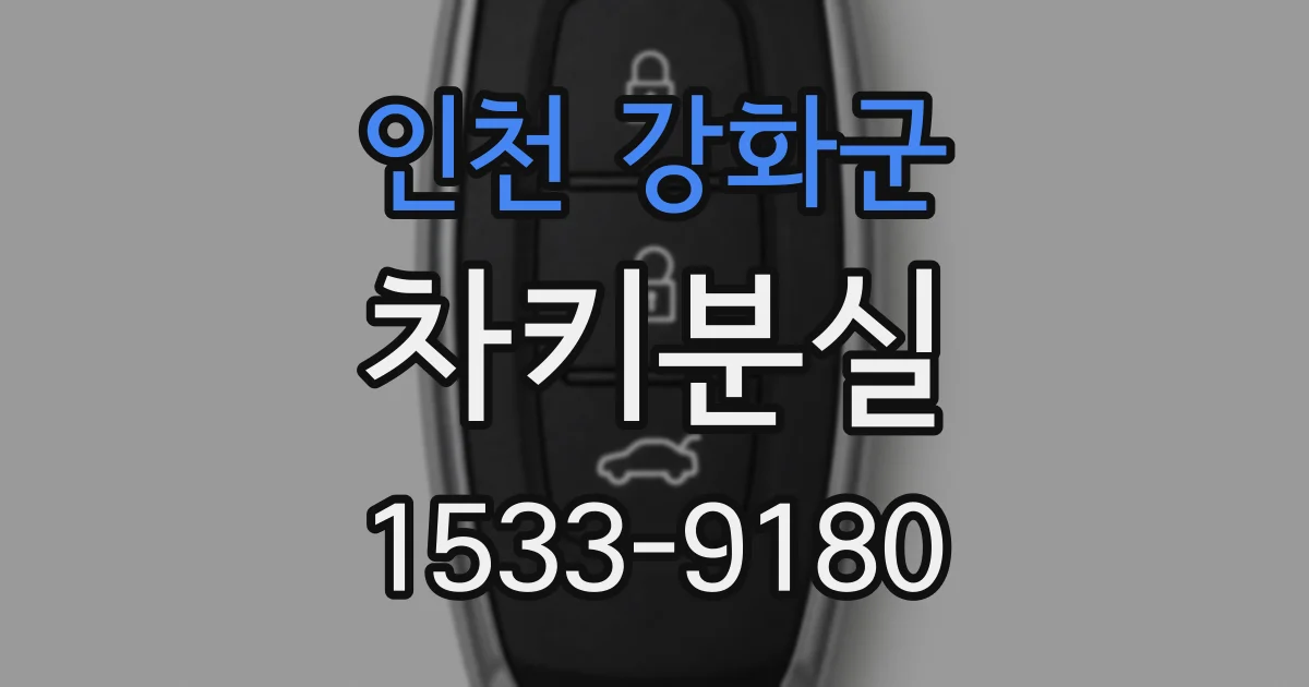 인천 강화군 차키분실