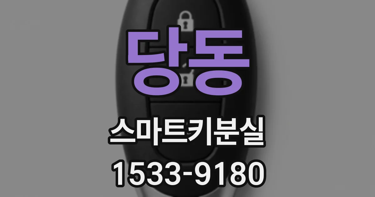 당동 스마트키분실