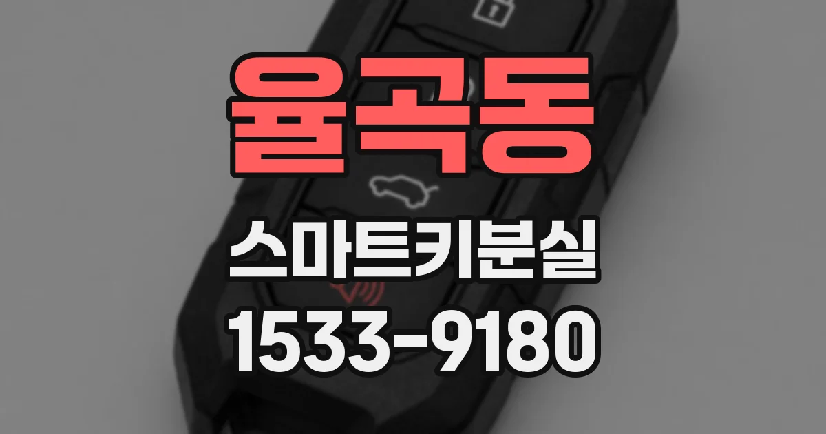 율곡동 스마트키분실