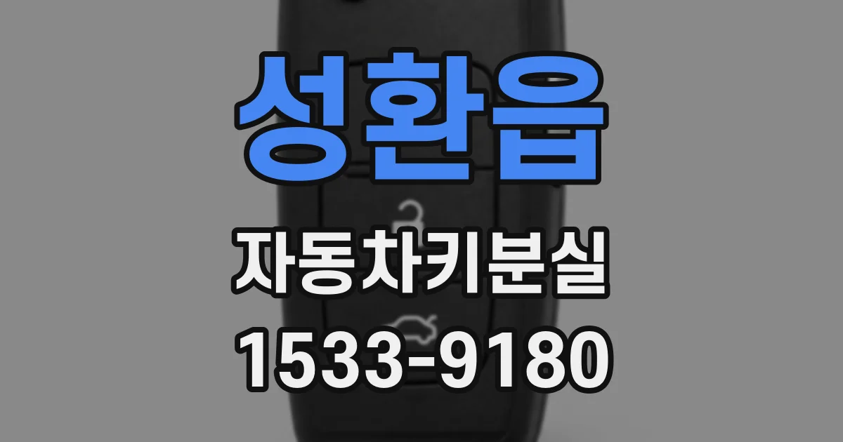 성환읍 자동차키분실