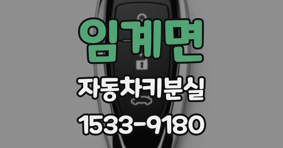 임계면 자동차키분실
