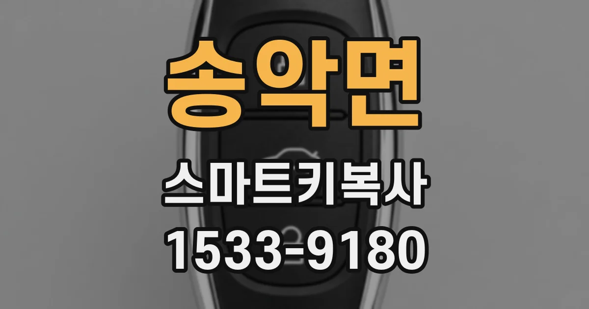 송악면 스마트키복사