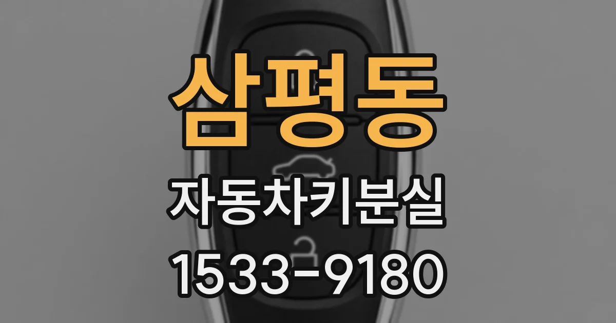 삼평동 자동차키분실