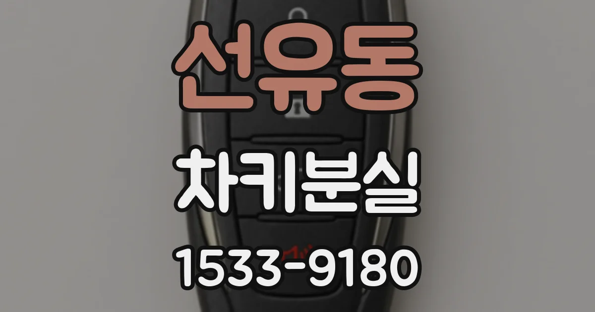 선유동 차키분실