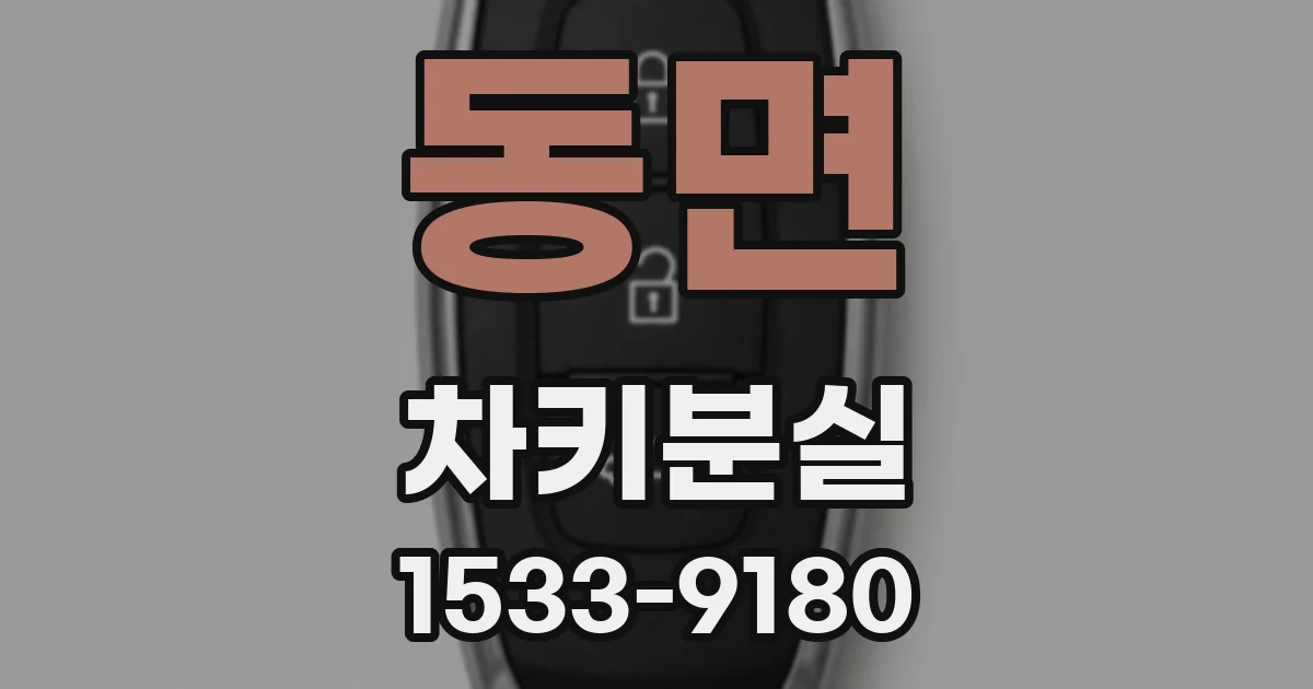 동면 차키분실