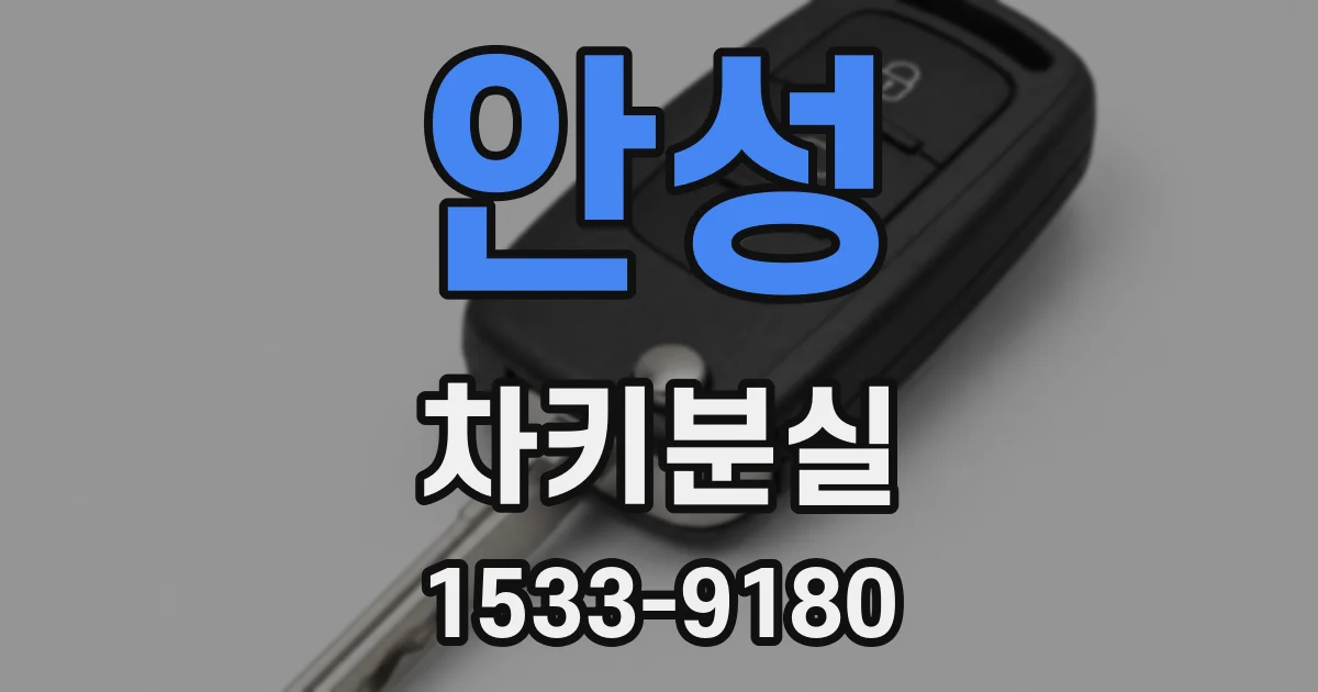 안성 차키분실