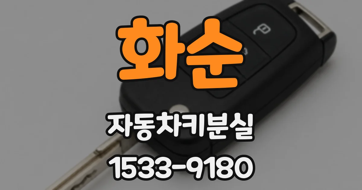 화순 자동차키분실